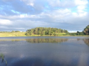 IMG_3868 copy