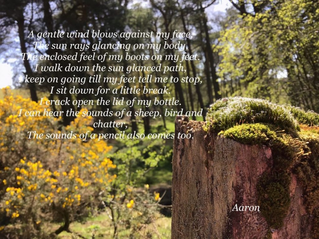 Arron's poem