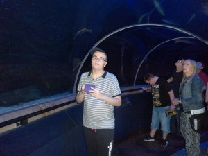 We walked through the fish tunnell