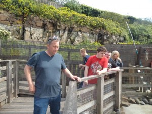 We looked for the Seals