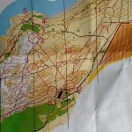 Orienteering Champ